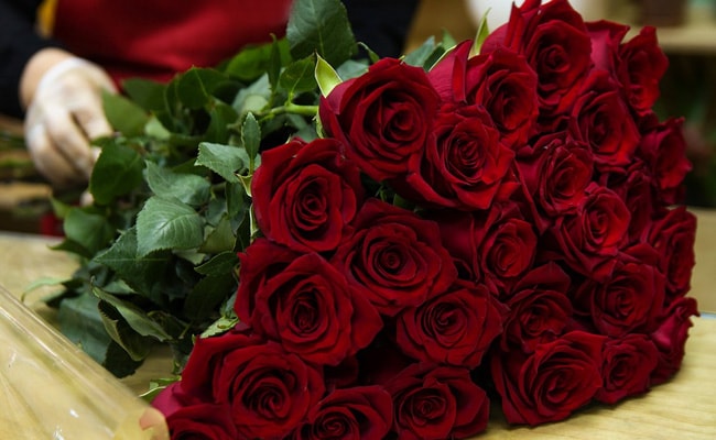 rose day