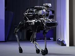 People Freaked Out After Robot Dogs Opened A Door. Now They're Resisting Humans.