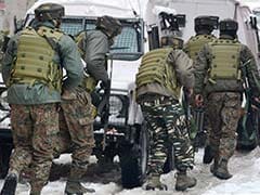 2 Terrorists Killed In Srinagar Encounter That Lasted 28 Hours