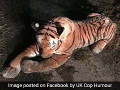 45-Minute Standoff With Tiger Ends When Police Realise It's A Stuffed Toy