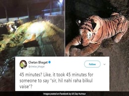 Police's 45-Minute Standoff With Toy Tiger Is Now A Meme Police's 45-Minute Standoff With Toy Tiger Is Now A Meme