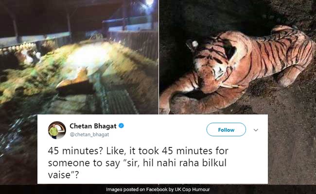 Police's 45-Minute Standoff With Toy Tiger Is Now A Meme