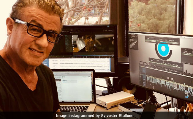 The Reports Of Sylvester Stallone's Death Are Greatly Exaggerated. He's 'Alive And Still Punching'