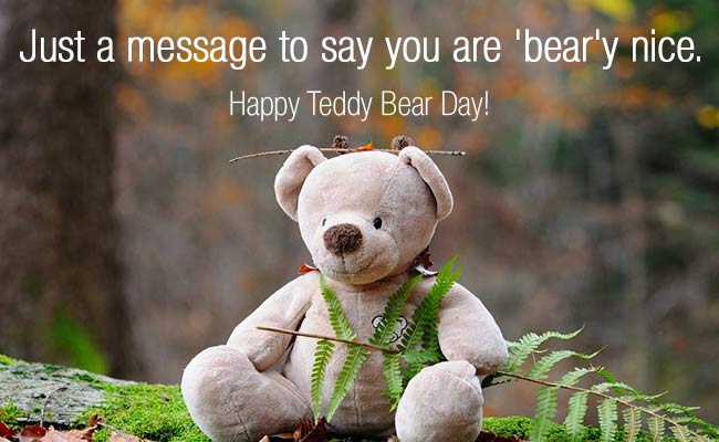 teddy with message