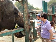 The Justin Trudeau Family Meets Maya, Bijlee And Lakshmi - The Elephants At Mathura Wildlife Sanctuary