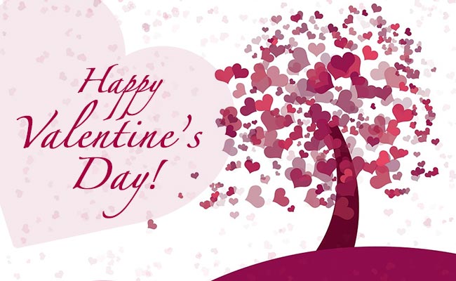 Happy Valentine's Day 2018: Romantic Shayari, SMS, Wishes ...