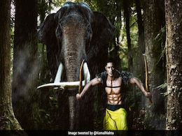 'जंगली' में ऐसे करतब दिखाएंगे विद्युत जामवाल, सामने आया Teaser 'जंगली' में ऐसे करतब दिखाएंगे विद्युत जामवाल, सामने आया Teaser