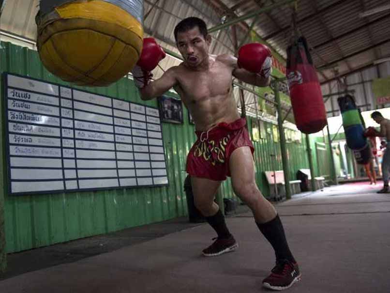 Undefeated Thai Dwarf Giant One Win From Floyd Mayweather Record