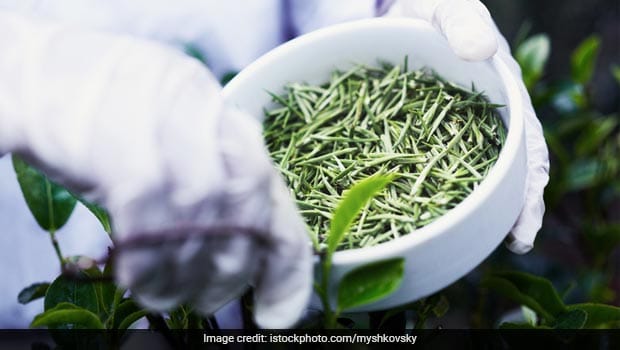 What is White Tea and What Makes it So Expensive? - NDTV Food