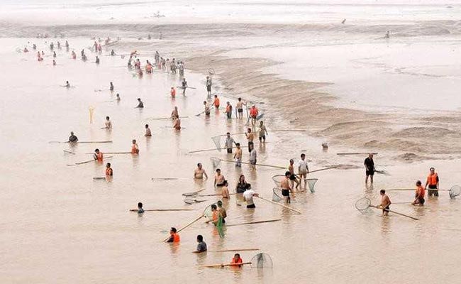 China To Impose Annual Fishing Ban In Yellow River From 2018: Report