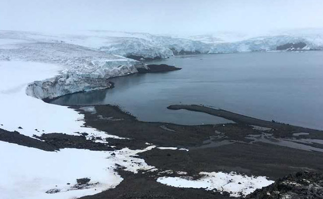 Plans For World's Largest Ocean Sanctuary In Antarctic Blocked