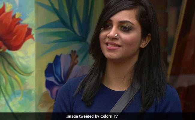 After Bigg Boss 11, Arshi Khan's Next Project Is...