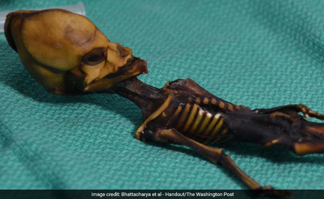 A Tiny Skeleton Found In Chile Might Look Like An Alien, But Her Genes Tell A Different Story