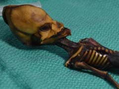 A Tiny Skeleton Found In Chile Might Look Like An Alien, But Her Genes Tell A Different Story
