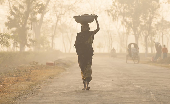 अध्ययन में हुआ खुलासा, जलवायु परिवर्तन की वजह से भारत में हो सकती है खाद्यान्न की कमी