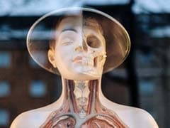 Scientists Just Discovered A New Human Organ. It Might Be The Biggest One