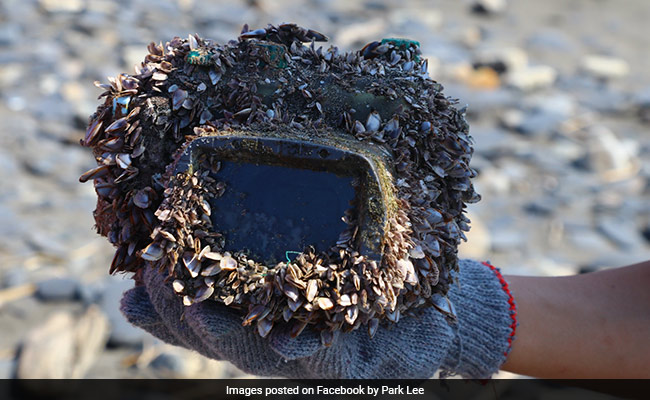 Camera Lost At Sea Found In Perfect Working Condition After 2 Years