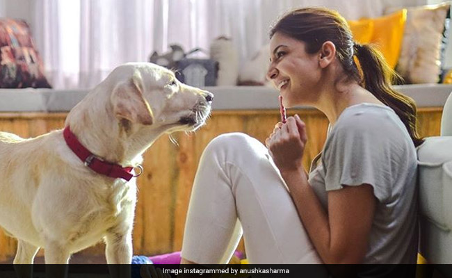 10 Celebrities Whose Pets Are Basically Celebrities Themselves