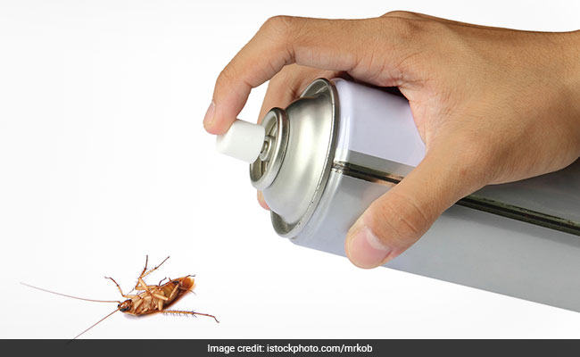 Man Blows Up House Trying To Burn Cockroaches With Bug Spray