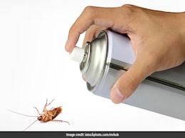 Man Blows Up House Trying To Burn Cockroaches With Bug Spray Man Blows Up House Trying To Burn Cockroaches With Bug Spray