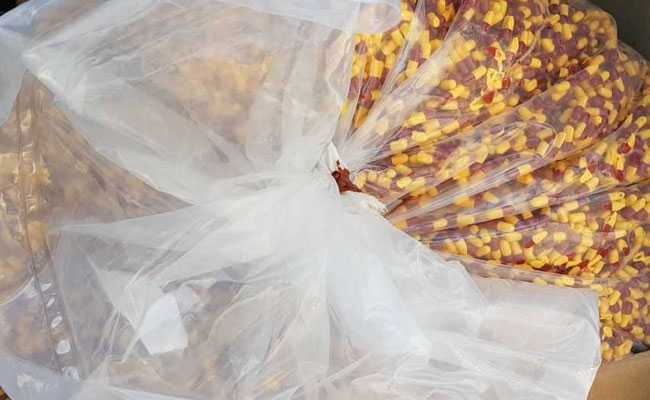counterfeit drug factory busted delhi
