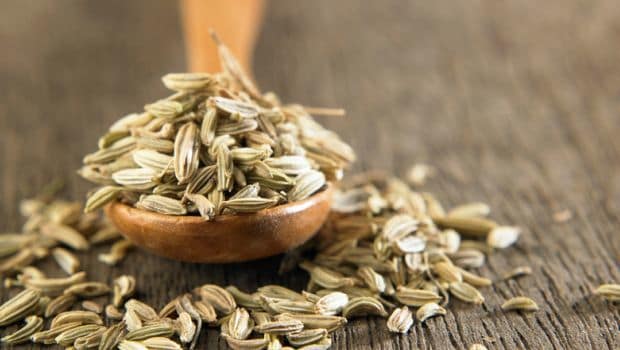 7 Benefits of Cumin ( Zeera) You Must Know