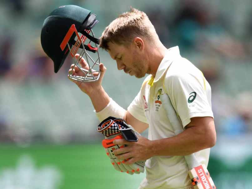 David Warner Fined 75 Per Cent Of Match Fee For Breaching ICC Code Of Conduct