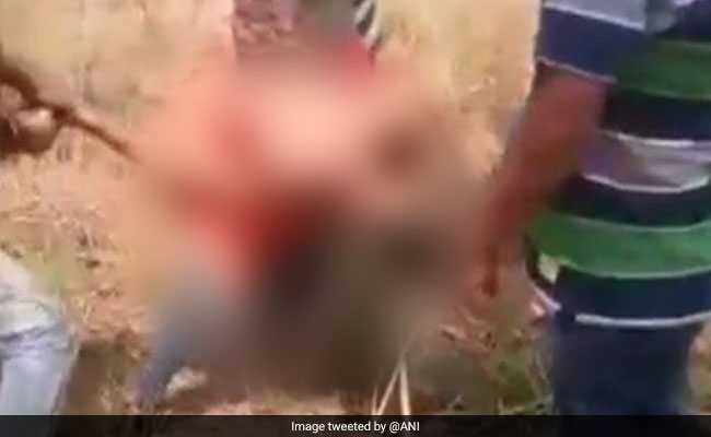 यूपी: देवरिया में उधार के पैसे मांगने पर पेड़ से बांध कर युवक की बेरहमी से पिटाई, वीडियो किया वायरल