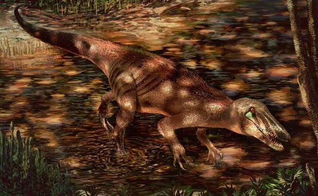 Fossils Of 'Badass' Argentine Meat-Eating Dinosaur Unearthed