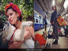 Delhi Woman Is Travelling Across India With Her Dogs. See Their Journey Delhi Woman Is Travelling Across India With Her Dogs. See Their Journey
