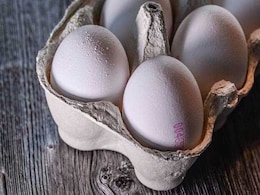 महाराष्ट्र में अंडों की कमी, रोजाना एक करोड़ अंडों की कमी का सामना कर रहा है राज्य महाराष्ट्र में अंडों की कमी, रोजाना एक करोड़ अंडों की कमी का सामना कर रहा है राज्य