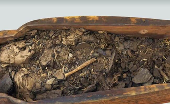 egypt mummy