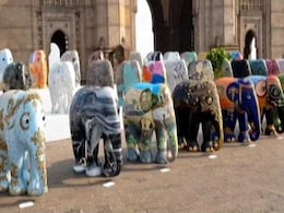 A Hit In UK, Elephant Parade In India To Raise Animal Conservation Funds A Hit In UK, Elephant Parade In India To Raise Animal Conservation Funds