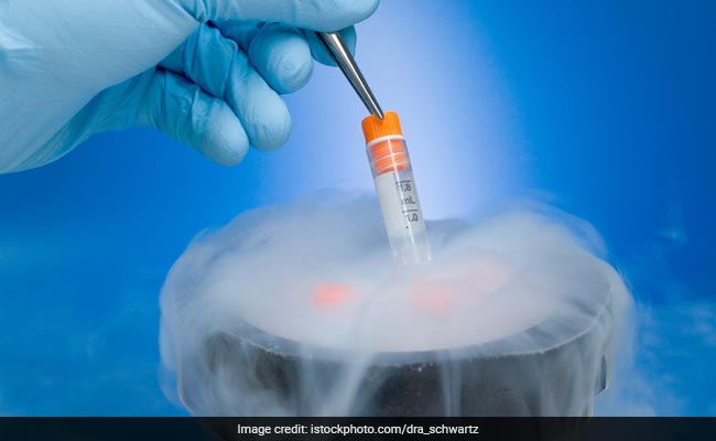 Are My Frozen Embryos Safe? Everything You Need To Know About The Freezer Malfunctions