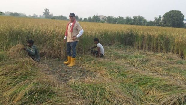 farm
