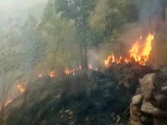 तमिलनाडु के थेनी के जंगलों में लगी आग, 9 की मौत, 27 बचाए गए