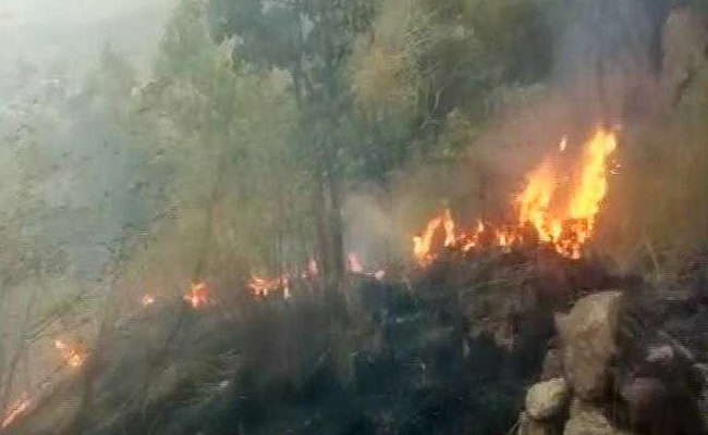 Nine Trekkers Dead In Massive Forest Fire In Tamil Nadu, 30 Rescued