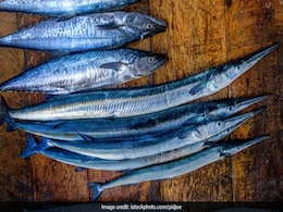Consuming Fish May Reduce Premature Birth Risk: Study Consuming Fish May Reduce Premature Birth Risk: Study