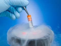 Are My Frozen Embryos Safe? Everything You Need To Know About The Freezer Malfunctions
