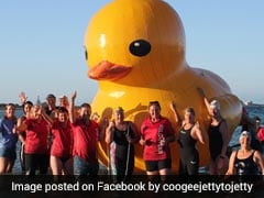 Giant Yellow Duck, Missing For A Week, Finally Found In Australia