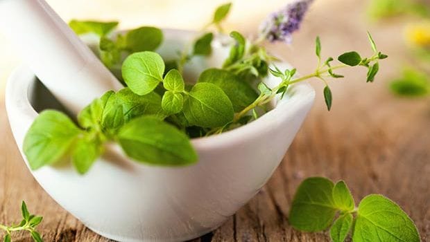 Anti-Ageing Herbs: 8 Ayurveda Herbs To Slow Down Ageing - NDTV Food