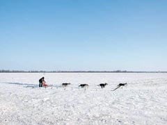 "I Would Have Died If Someone Didn't Come": Stranded Iditarod Racer's Ordeal