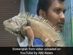 Indore Juice Shop Owner Pays 2 Lakhs For Pet Iguanas, Draws Huge Crowds