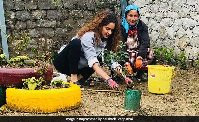 Kangana Ranaut Birthday: 31वें जन्मदिन पर लगाए 31 पौधे, परिवार संग कुछ यूं बिताएंगी वक्त