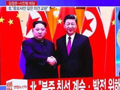 On "Unofficial" Trip To China, North Korea's Kim Pledges Denuclearisation