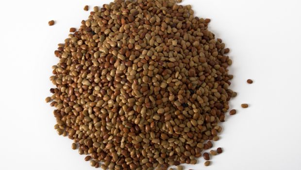 Know All About Kulith, The Super Pulse Of India: Health Benefits And More