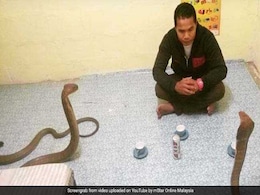 He Was Known As Malaysia's 'Snake Whisperer' - Until A Cobra Fatally Bit Him He Was Known As Malaysia's 'Snake Whisperer' - Until A Cobra Fatally Bit Him