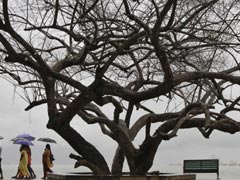 India Likely To Emerge Unscathed From El Nino: Official