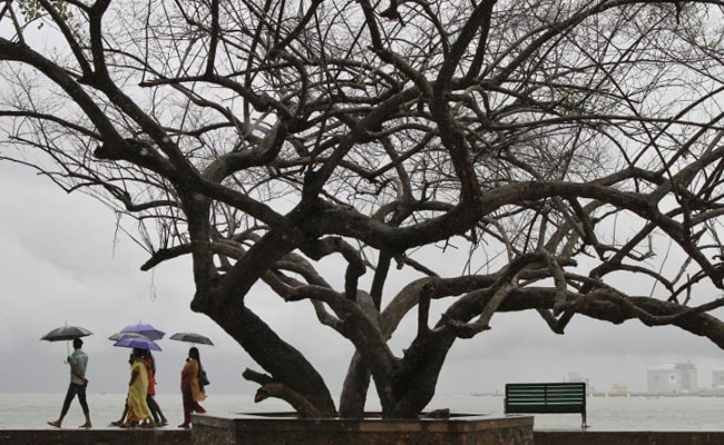 Pre-Monsoon Activity Begins Over Parts Of North India: Weather Experts