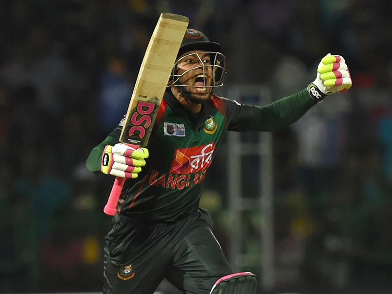 Image result for mushfiqur rahim